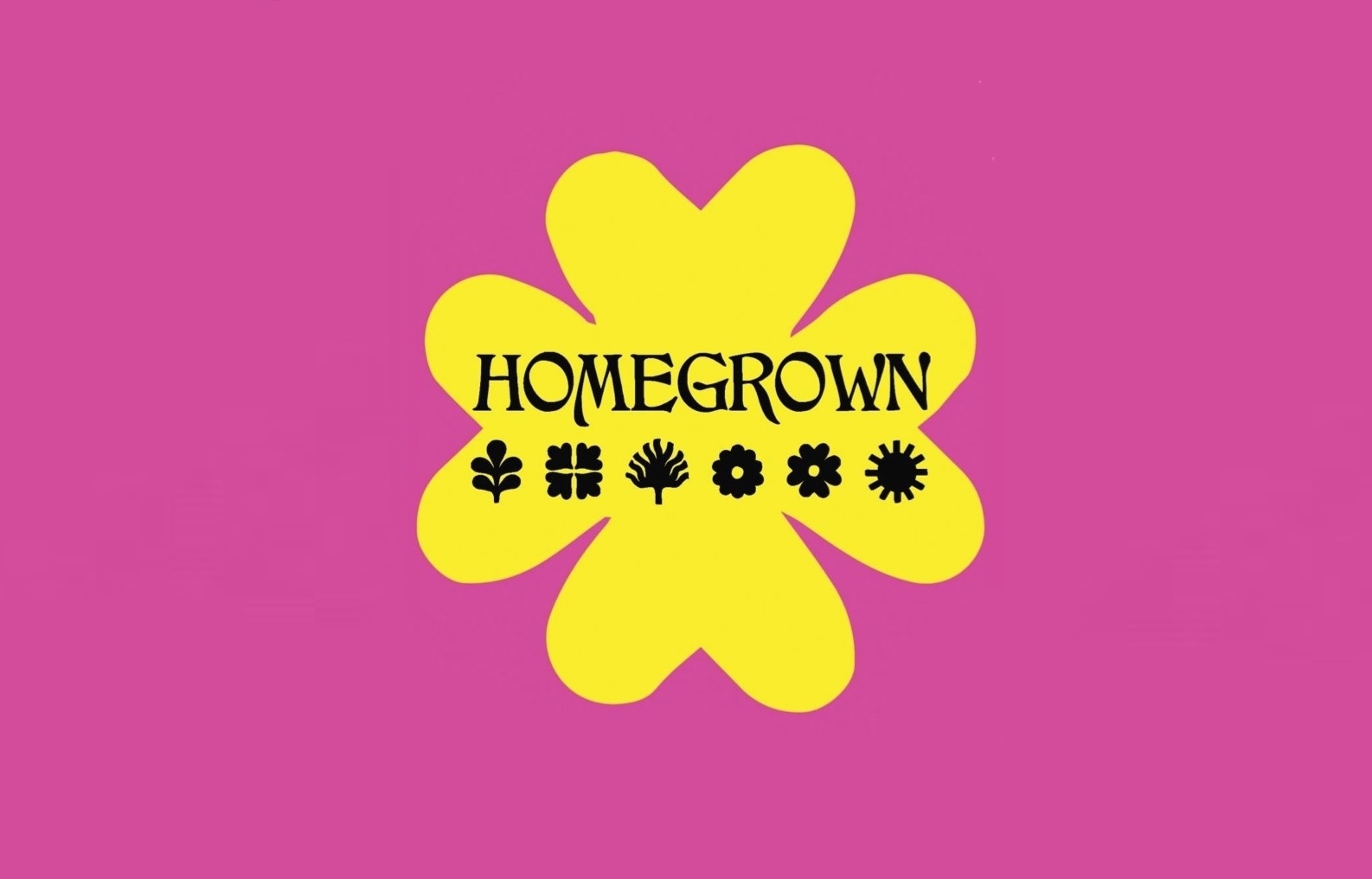 Get on board with Brighton&rsquo;s grassroots &lsquo;Homegrown Festival&rsquo;