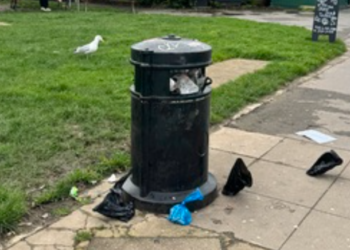 Woman starts petition to tackle dog fouling