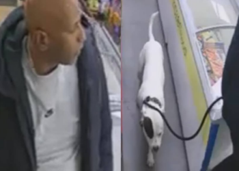 New date for Brighton and Hove Albion v Chelsea match