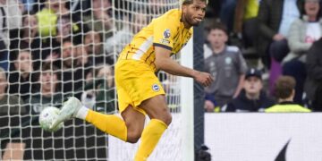 Brighton and Hove Albion save point with late equaliser at Spurs