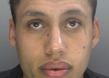 Brighton beach rapist had murder conviction in Egypt, court told