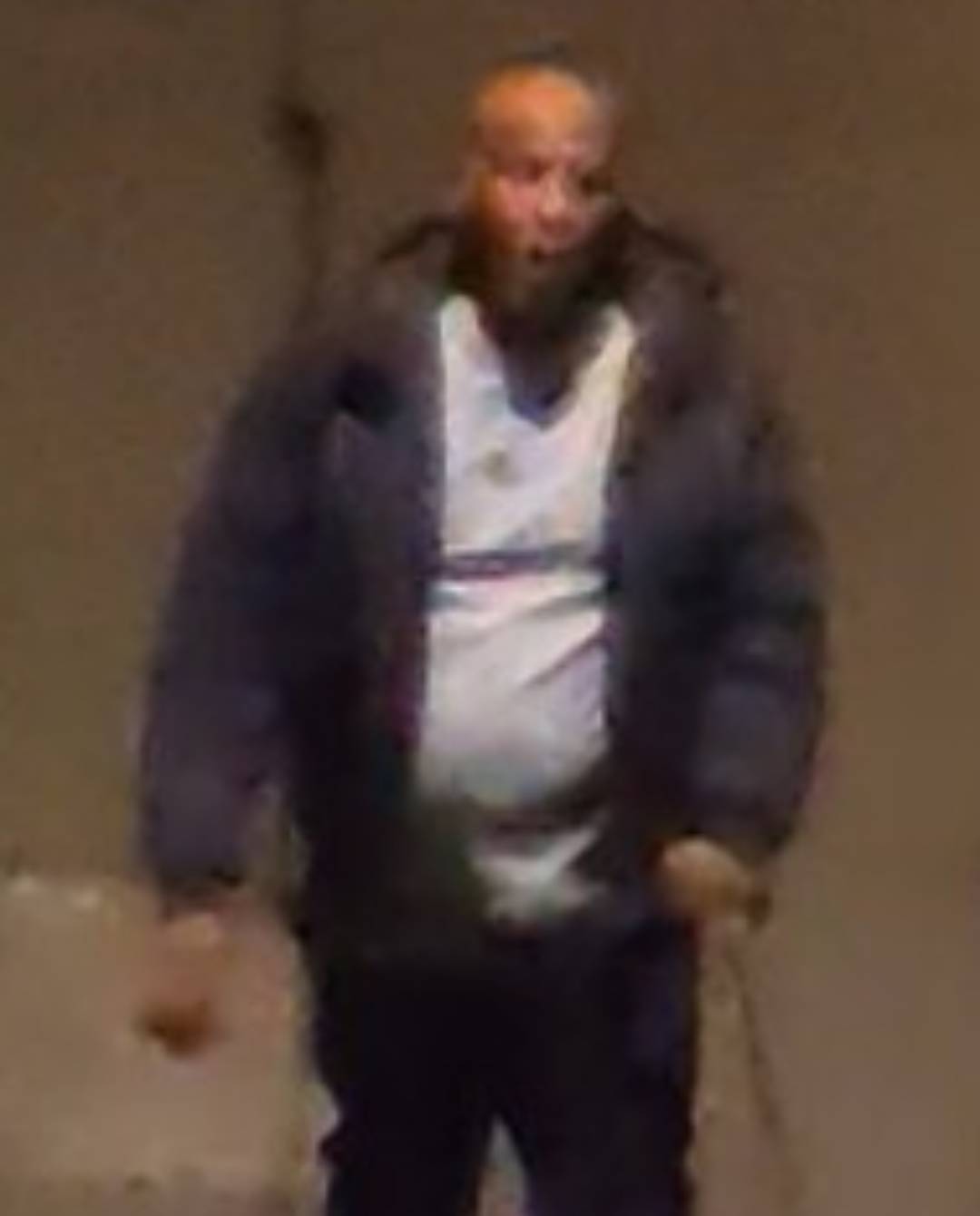 Images released in hunt for man with dangerous dog