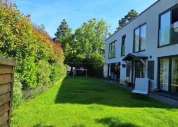 Illicit back garden house given reprieve from demolition