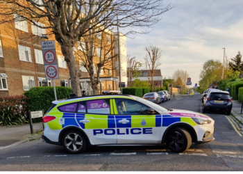 Trains delayed by trespassers on tracks