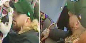 Poodle dies after being attacked by dog on bus