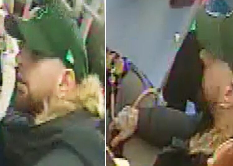 Poodle dies after being attacked by dog on bus