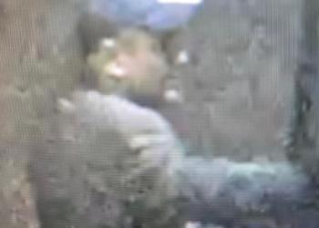 Image released after shop windows smashed at least three times