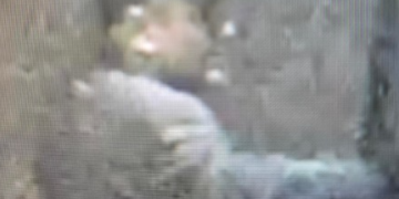 Image released after shop windows smashed at least three times
