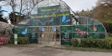 Palm house turned into butterfly garden