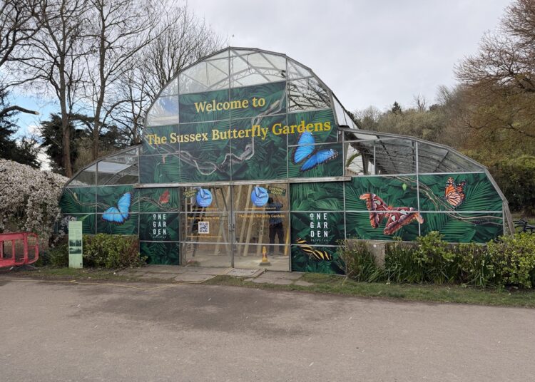 Palm house turned into butterfly garden