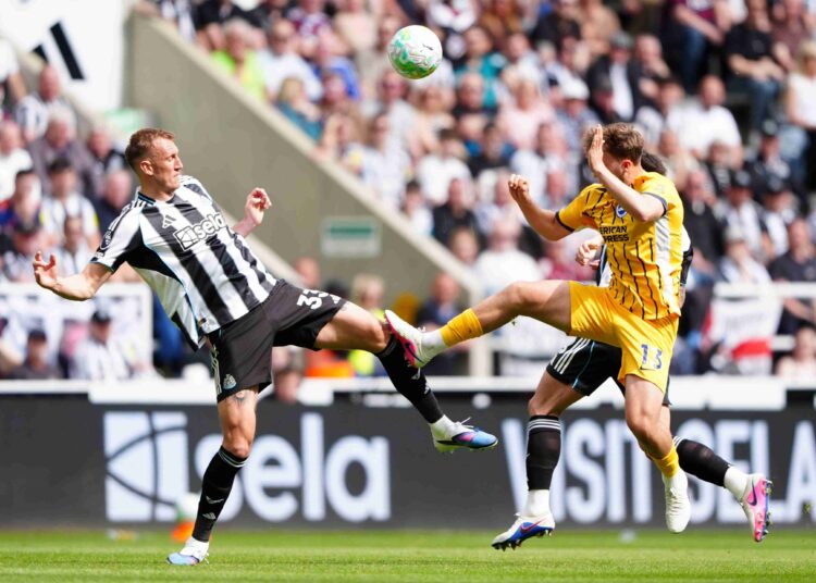 Howe about that! Brighton and Hove Albion beaten at Newcastle
