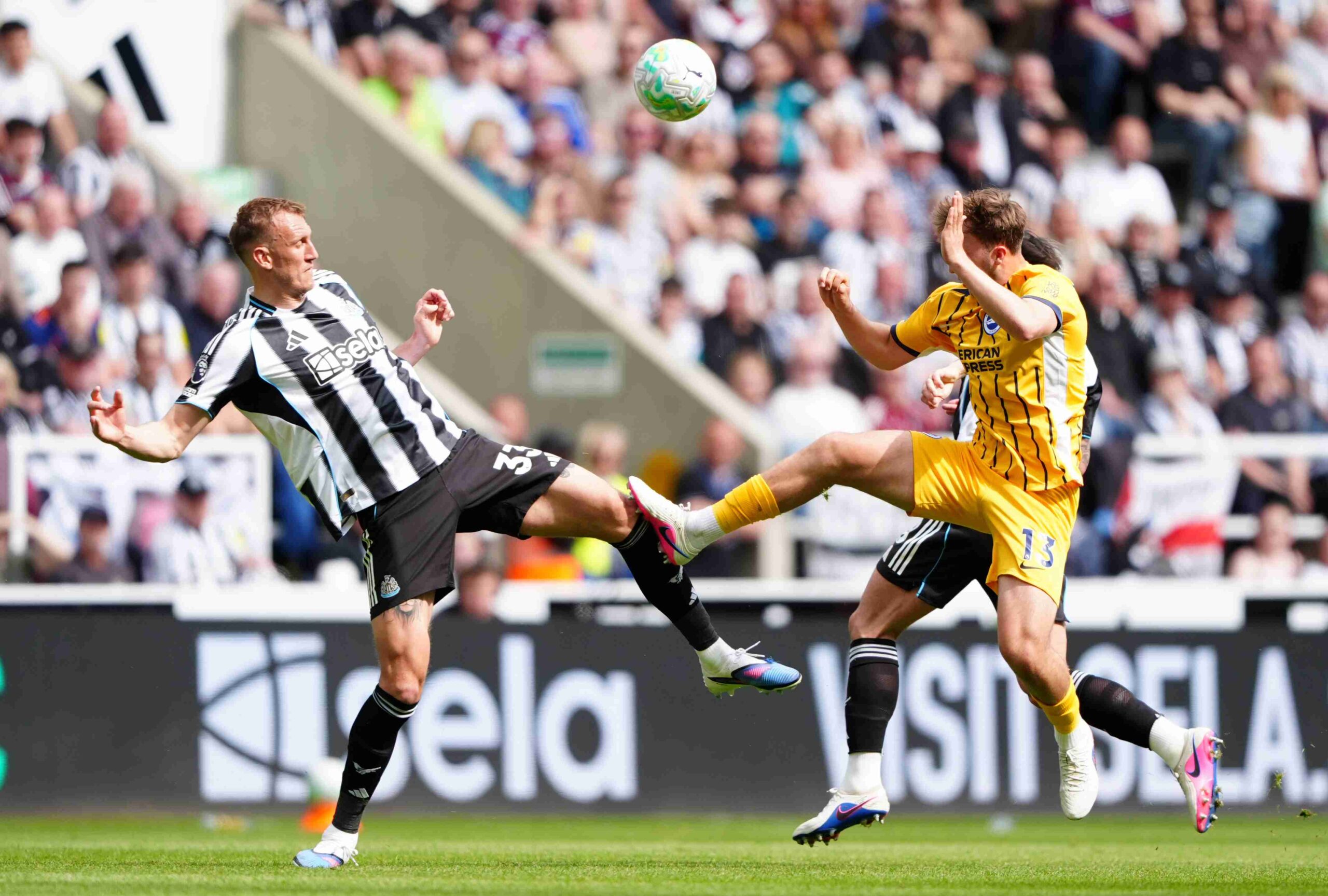 Howe about that! Brighton and Hove Albion beaten at Newcastle