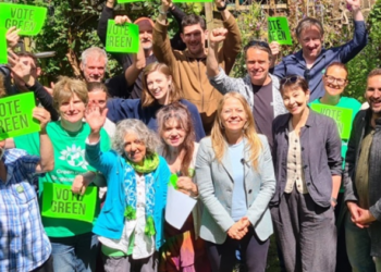 Greens hit by-election campaign trail before polling date even announced