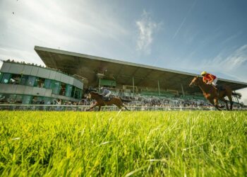 Racecourse reopens after bug infestations damage grass
