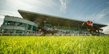 Racecourse reopens after bug infestations damage grass