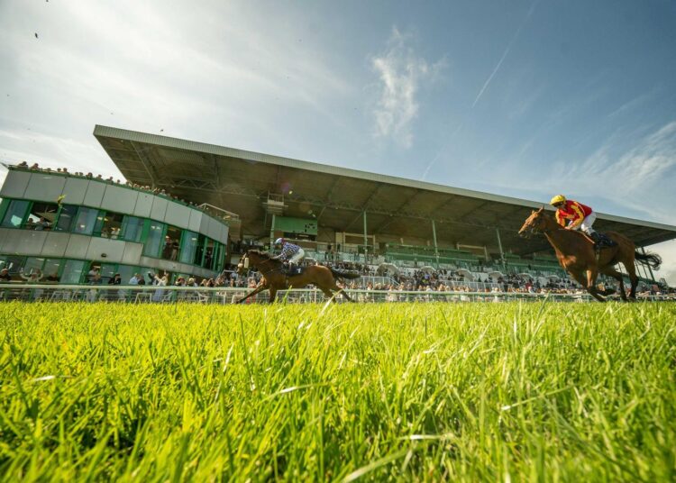 Racecourse reopens after bug infestations damage grass