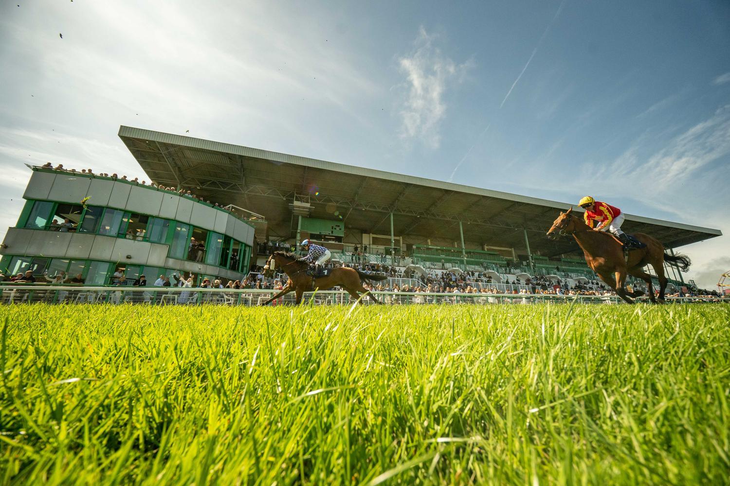 Racecourse reopens after bug infestations damage grass