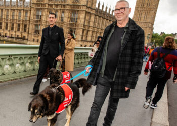 Brighton dog becomes Big Issue cover star