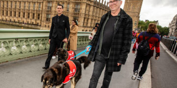 Brighton dog becomes Big Issue cover star