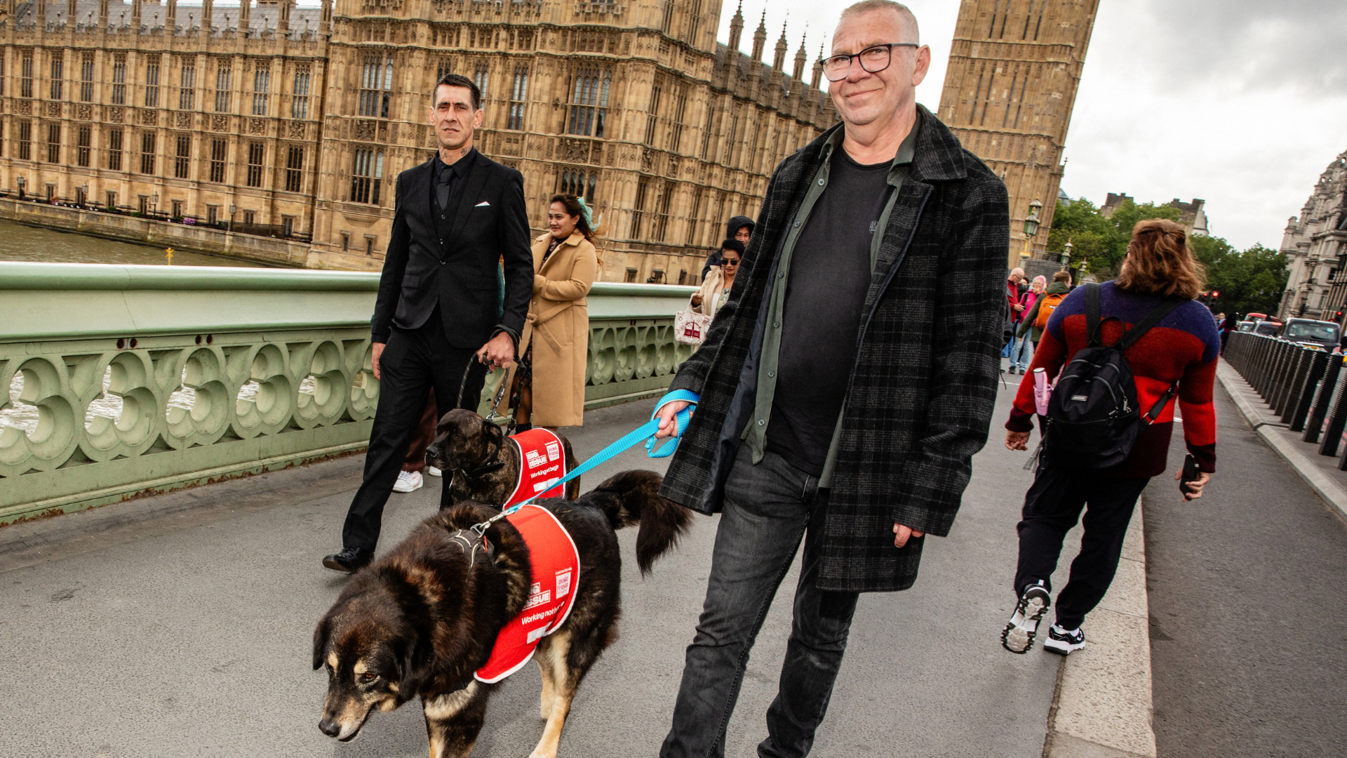 Brighton dog becomes Big Issue cover star