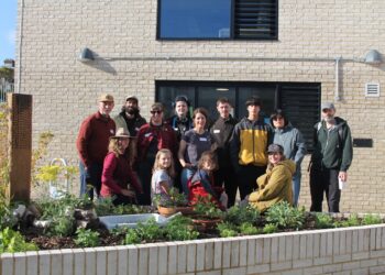 Youth centre garden features beach groyne bee hotel