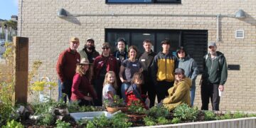 Youth centre garden features beach groyne bee hotel