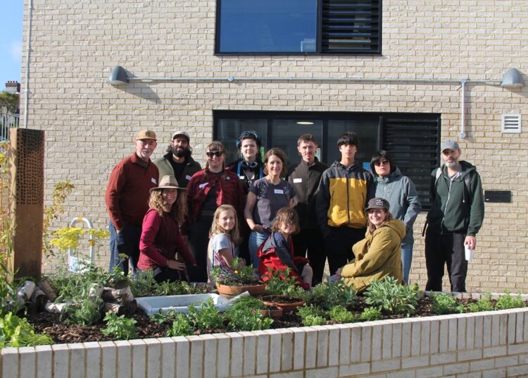 Youth centre garden features beach groyne bee hotel