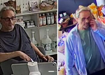 Fraudster scams shop staff