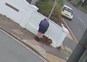 Dog walker sought over targeting of Brighton corner shop