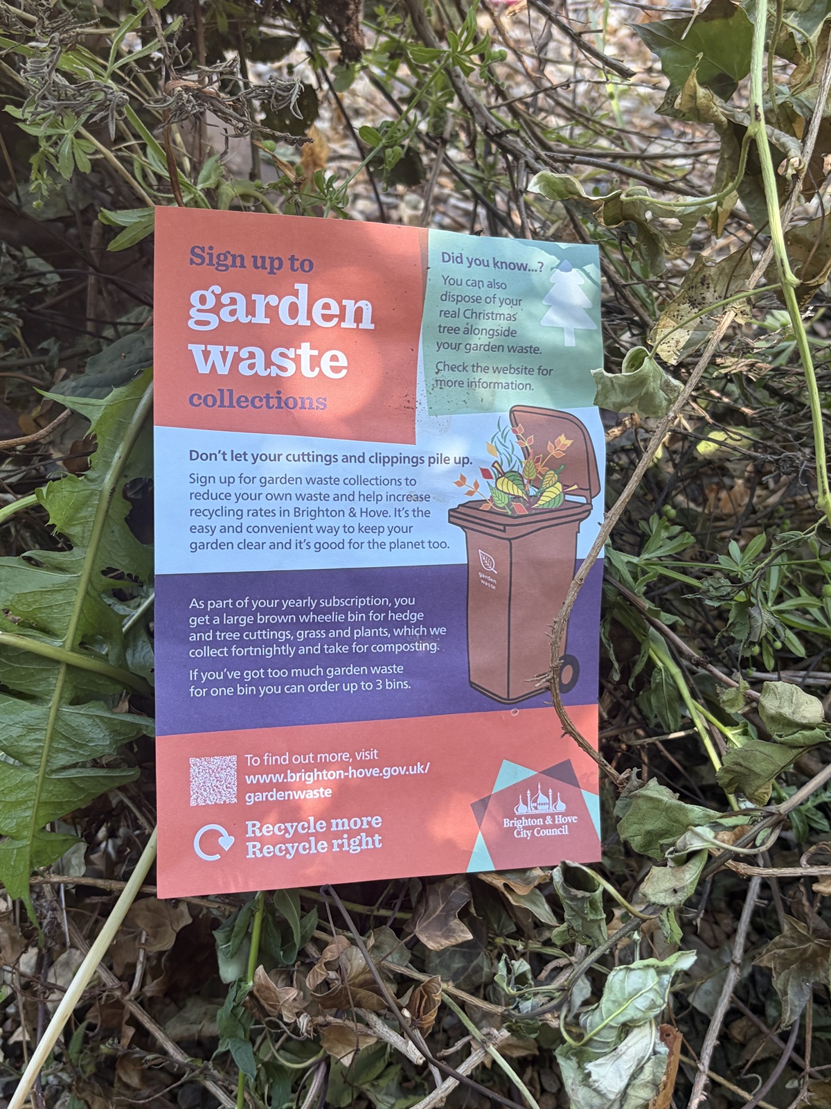 Woman waits more than four months for garden waste bin