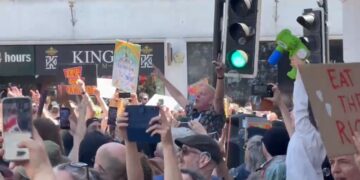 Fatboy Slim entertains protesters outside Brighton station