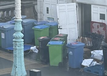 ‘Inappropriate’ bin fence removal leaves rubbish eyesore