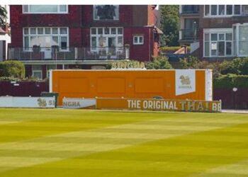Cricket container bar can stay