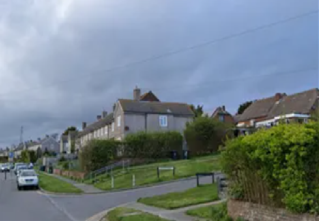 Tenant rep questions use of homes bought back by council