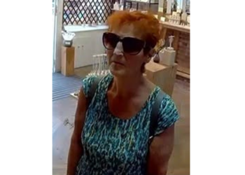 Police hunt suspected jewellery thief