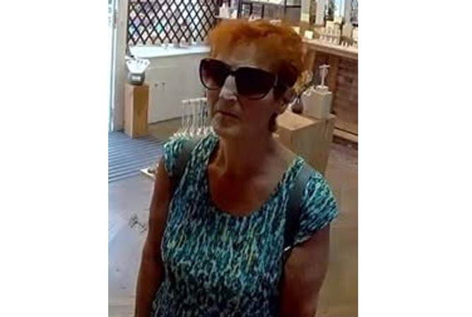 Police hunt suspected jewellery thief