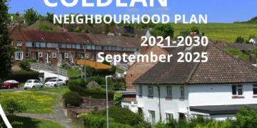 Public to vote on neighbourhood plan