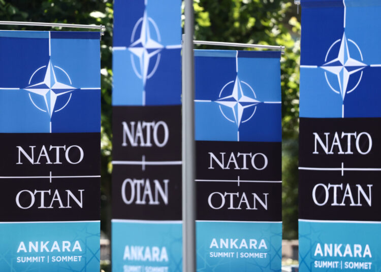 Brighton woman on hunger strike in Turkey after Nato summit protest arrest