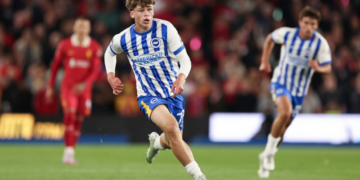 Another Brighton and Hove Albion winger joins Leicester City on loan