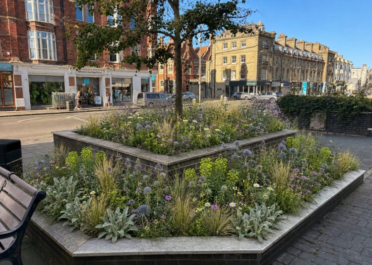 Conservation charity urges companies to use native wildflowers in displays