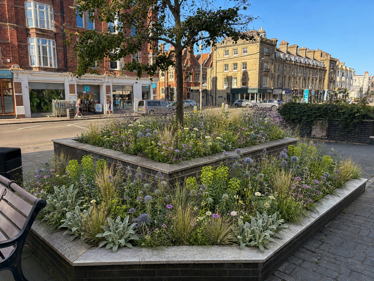 Conservation charity urges companies to use native wildflowers in displays