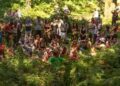 Into The Wild Festival Celebrates Twelve Years Of Music, Nature And Creativity in Sussex This August
