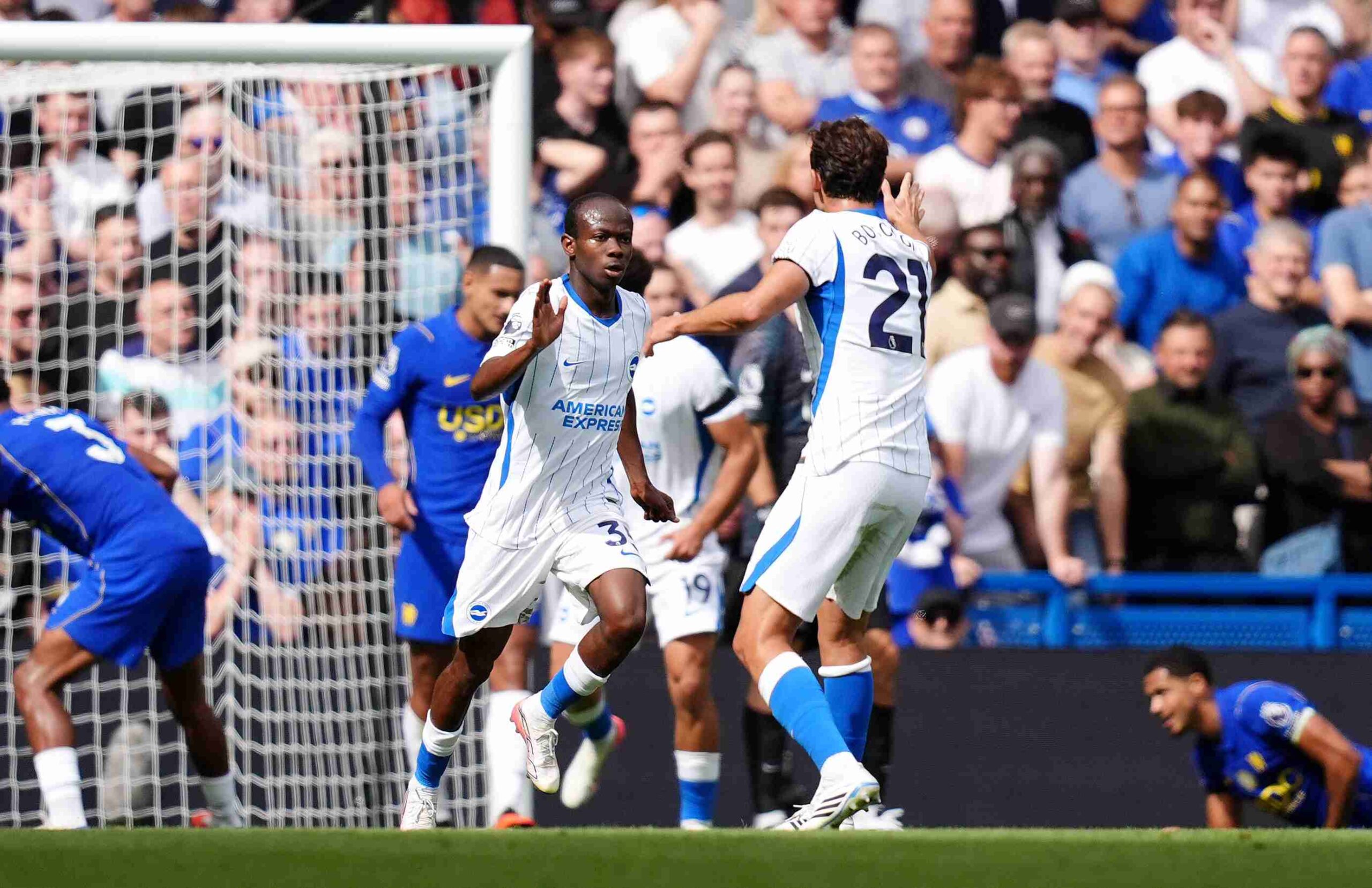 Brighton and Hove Albion beaten at Chelsea Brighton and Hove Albion beaten at Chelsea
