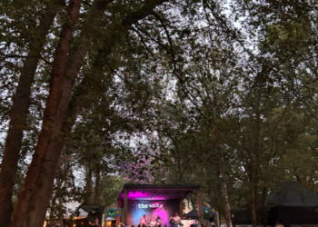 Review: The Wake Festival