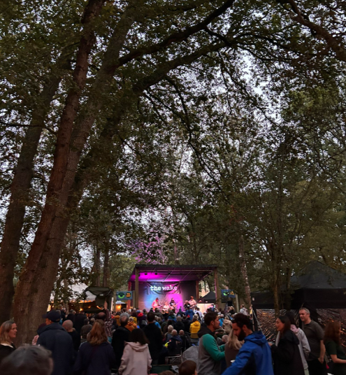 Review: The Wake Festival