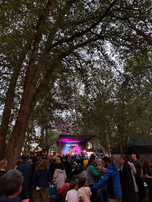 Review: The Wake Festival Review: The Wake Festival