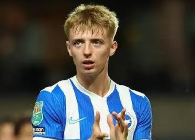 Brighton and Hove Albion send Watson on loan to Leicester City