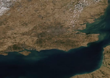 Brighton and the South Downs suffering from drought – official