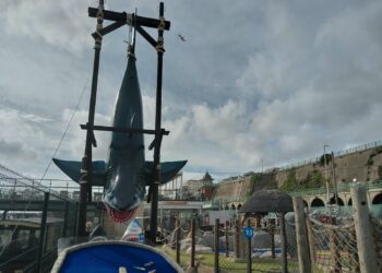 Seafront shark threatened with enforcement action