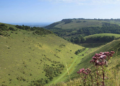 Soundbaths from Nature